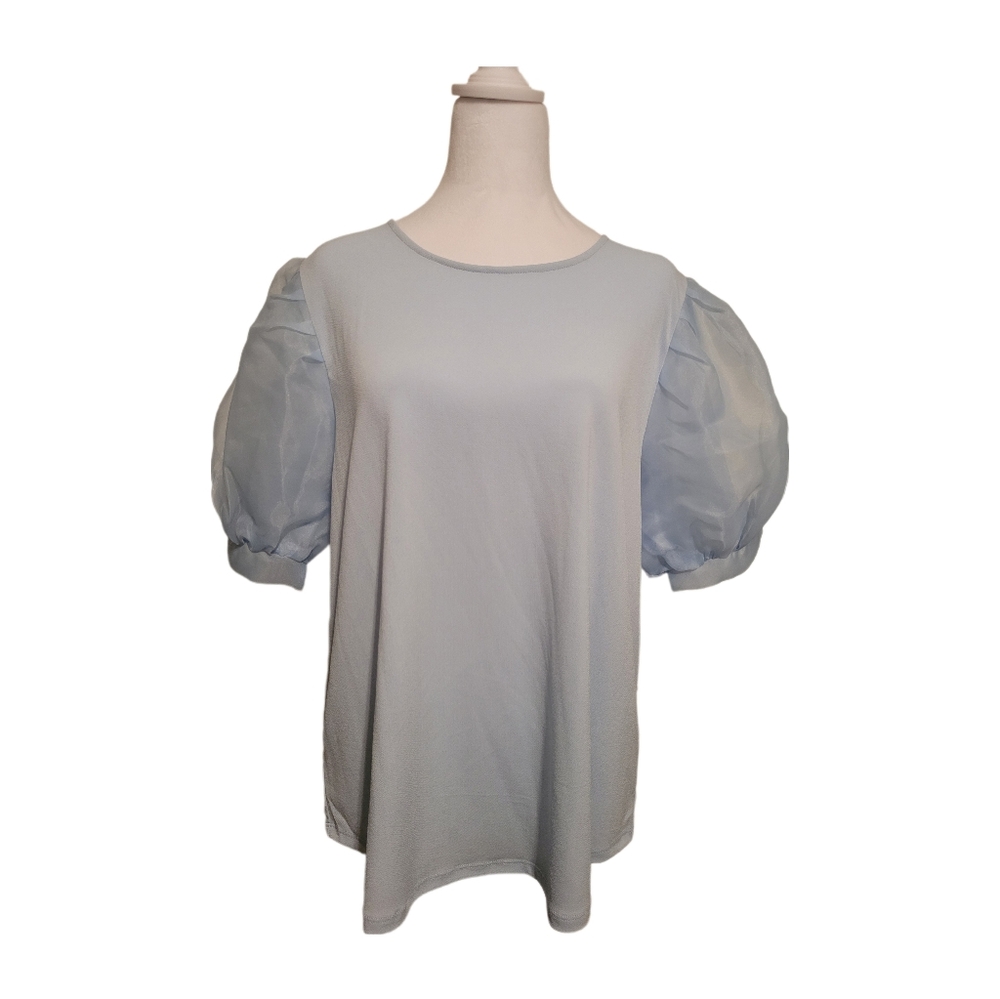 Adrianna Papell Organza Puffed Sleeve Blouse Snowglobe Blue Sz L NWT